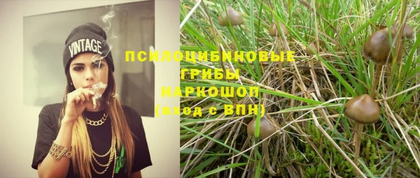 дмт Алзамай