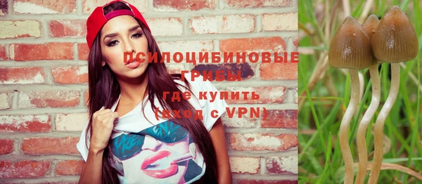 дмт Алзамай