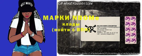 дмт Алзамай